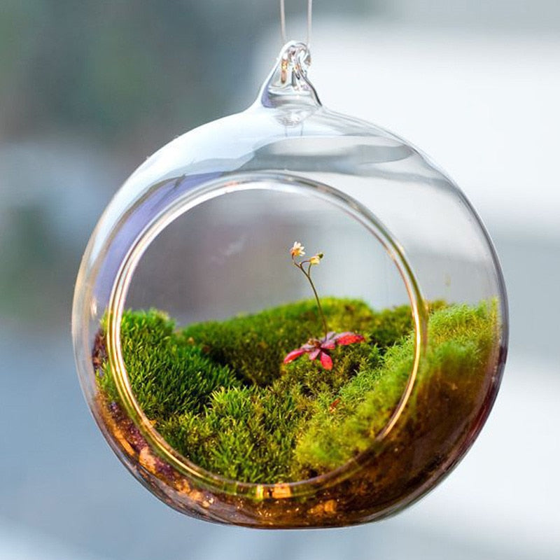 Globe Shape Clear Hanging Glass - USA Distribution Center